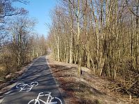 Budowa sieci tras rowerowych Pomorza Zachodniego - Trasa Nadmorska Budowa sieci tras rowerowych Pomorza Zachodniego - Trasa Nadmorska