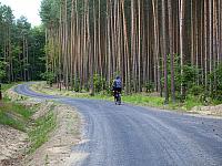 Budowa sieci tras rowerowych Pomorza Zachodniego - Trasa Zielonego Pogranicza odc. Gryfino - Trzcińsko Zdrój Budowa sieci tras rowerowych Pomorza Zachodniego - Trasa Zielonego Pogranicza odc. Gryfino - Trzcińsko Zdrój
