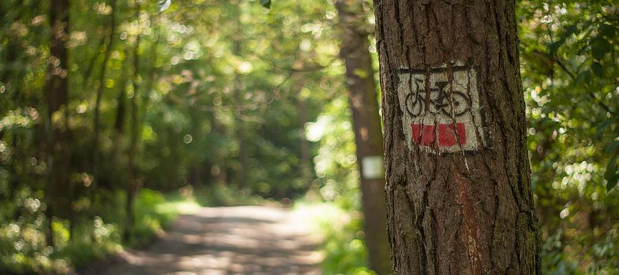 Szlak rowerowy do Trzebieży i nie tylko… Marszałkowskie wsparcie dla Gminy Police