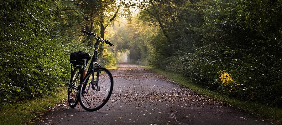 Kolejne piękne odcinki Trasy Pojezierzy Zachodnich gotowe! Kolejne piękne odcinki Trasy Pojezierzy Zachodnich gotowe!
