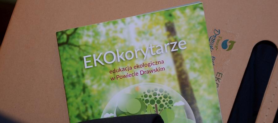 EKOkorytarze w Drawsku Pomorskim. Zakończenie projektu ekologicznego