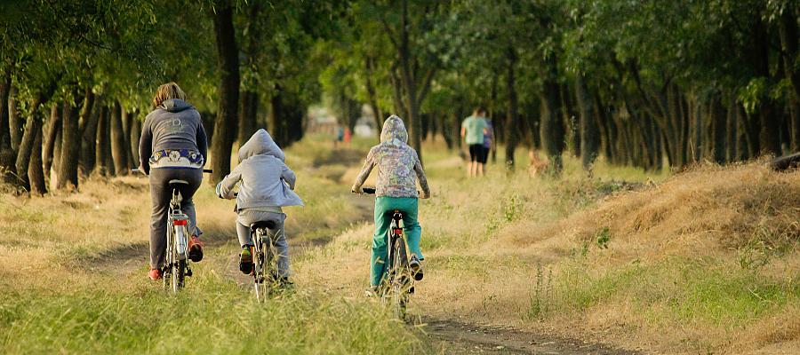Kołobrzeg coraz bardziej mobilny