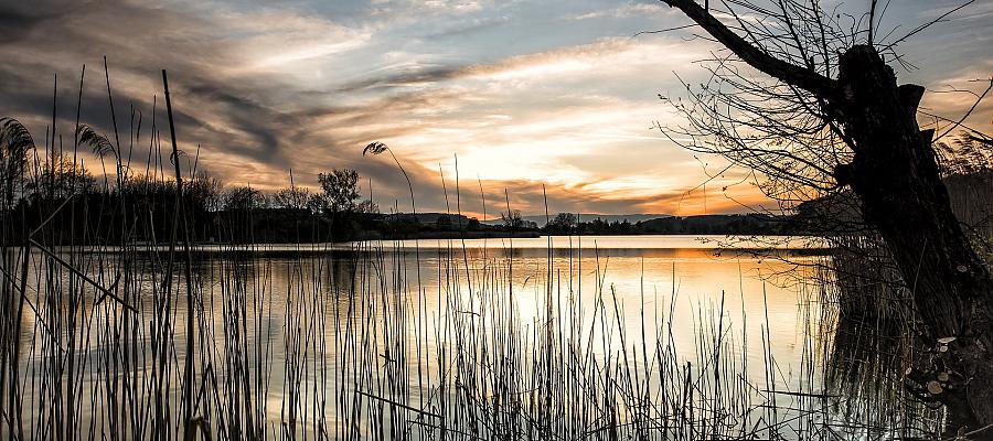 Wody Polskie sięgają w końcu po środki na „małą retencję”. 