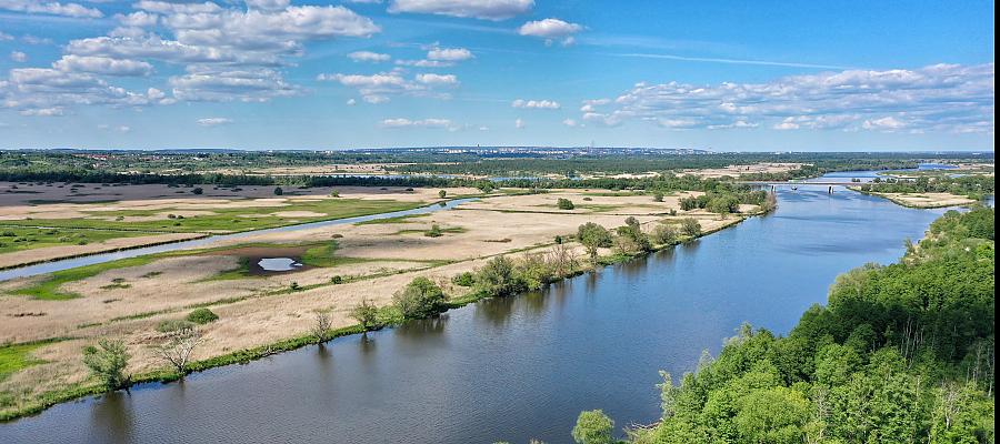 Stawiamy na EKO. Działania środowiskowe w liczbach